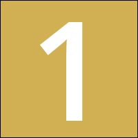 Program Logo